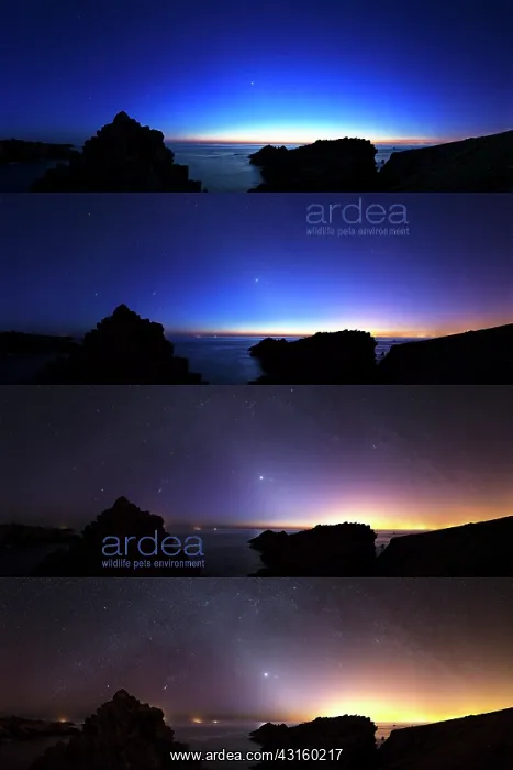 : 10 minutes in 10 minutes, the appearance of the : 10 minutes in 10 minutes, the appearance of the