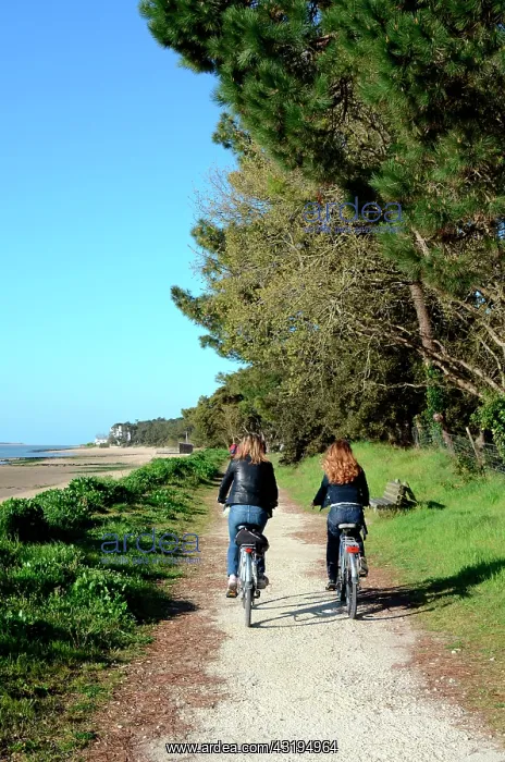 : With more than 100 km of cycle tracks, Oleron is : With more than 100 km of cycle tracks, Oleron is