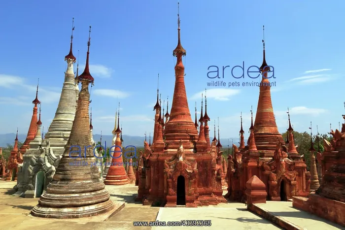 : Some of the 1054 pagodas of the In-Dein Pagoda Forest : Some of the 1054 pagodas of the In-Dein Pagoda Forest