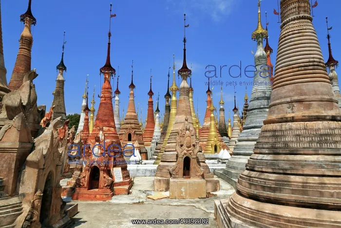 : Some of the 1054 pagodas of the In-Dein Pagoda Forest : Some of the 1054 pagodas of the In-Dein Pagoda Forest
