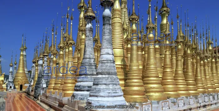 : Some of the 1054 pagodas of the In-Dein Pagoda Forest : Some of the 1054 pagodas of the In-Dein Pagoda Forest