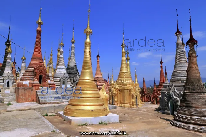 : Some of the 1054 pagodas of the In-Dein Pagoda Forest : Some of the 1054 pagodas of the In-Dein Pagoda Forest