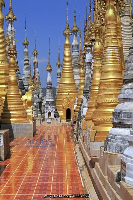 : Some of the 1054 pagodas of the In-Dein Pagoda Forest : Some of the 1054 pagodas of the In-Dein Pagoda Forest