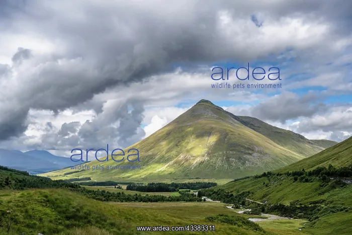 : The 1076 metre high Beinn Dorain mountain in the : The 1076 metre high Beinn Dorain mountain in the