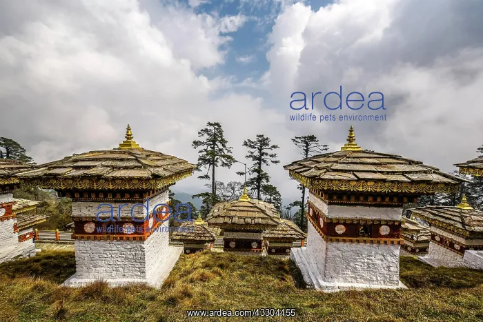  : The 108 chorten or prayer shrines of Druk Wangyal