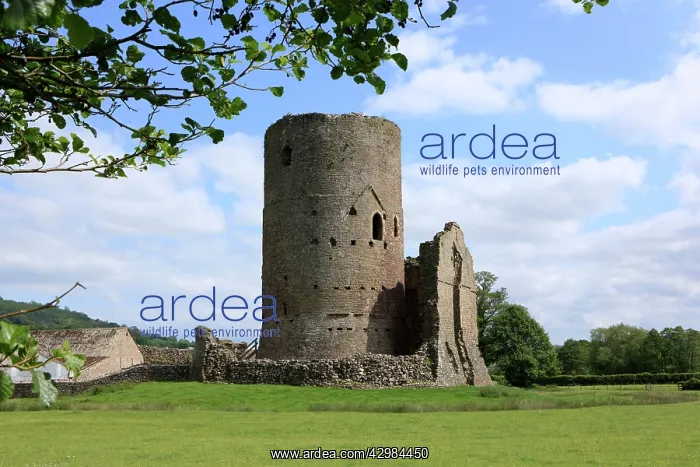 : 11th to 13th Century Tretower Castle Ruins : 11th to 13th Century Tretower Castle Ruins