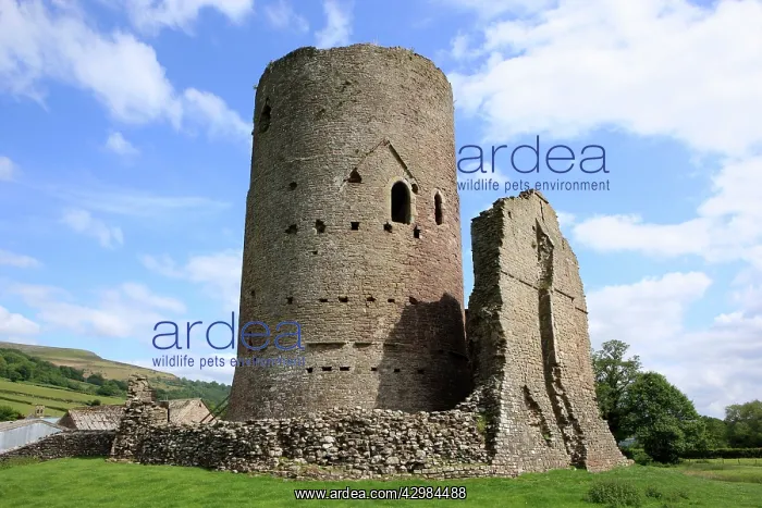 : 11th to 13th Century Tretower Castle Ruins : 11th to 13th Century Tretower Castle Ruins