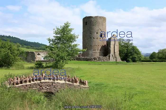  : 11th to 13th Century Tretower Castle Ruins