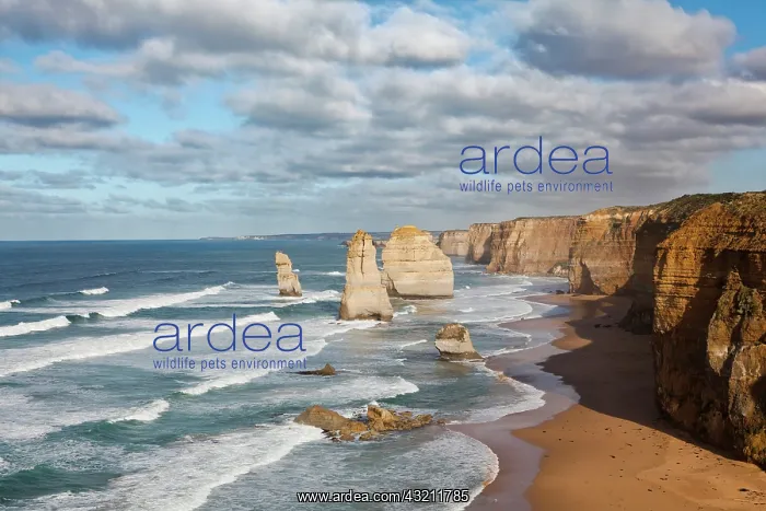 : The 12 Apostles, Great Ocean Road, Australia : The 12 Apostles, Great Ocean Road, Australia