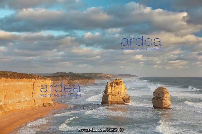 : The 12 Apostles, Great Ocean Road, Australia : The 12 Apostles, Great Ocean Road, Australia