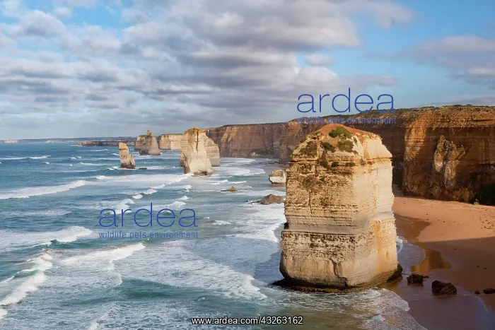 : The 12 Apostles, Great Ocean Road, Australia : The 12 Apostles, Great Ocean Road, Australia