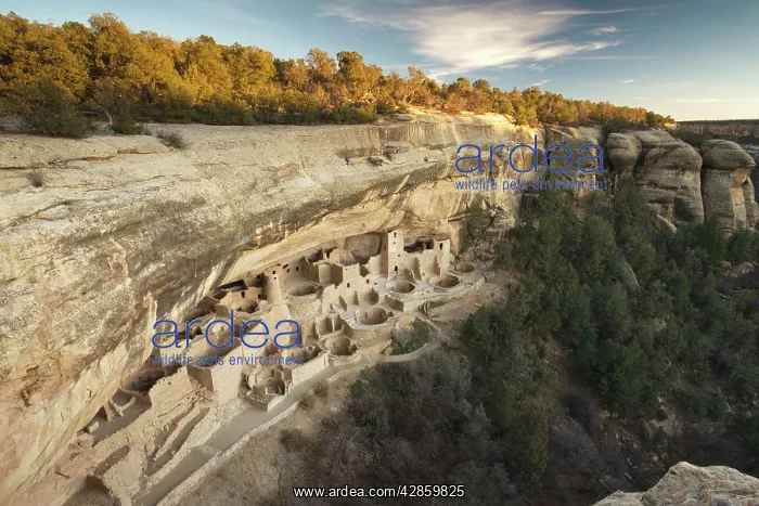 : 13th century native indian cliff buildings, Mesa : 13th century native indian cliff buildings, Mesa