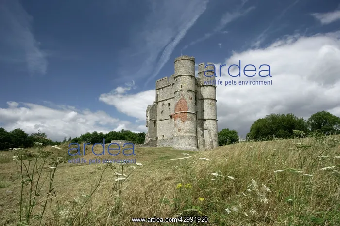 : The 14th Century Donnington Castle : The 14th Century Donnington Castle