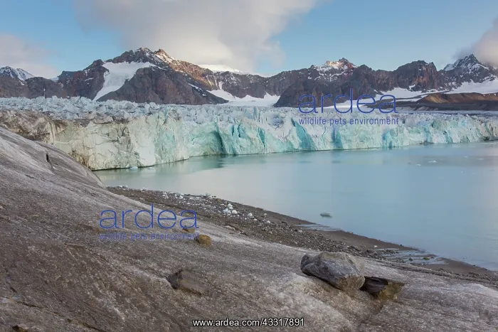 : 14th of July Glacier calving into Krossfjord - Svalbard : 14th of July Glacier calving into Krossfjord - Svalbard