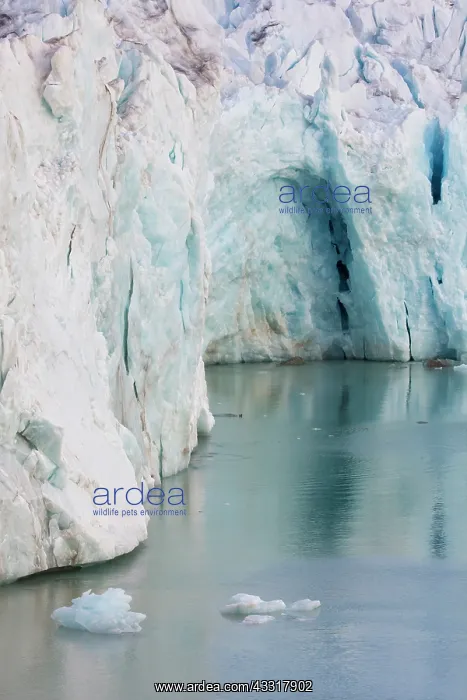 : 14th of July Glacier calving into Krossfjord - Svalbard : 14th of July Glacier calving into Krossfjord - Svalbard