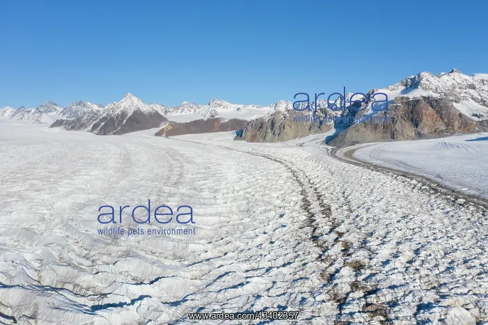 : The 14th July Glacier debouches into Krossfjord : The 14th July Glacier debouches into Krossfjord