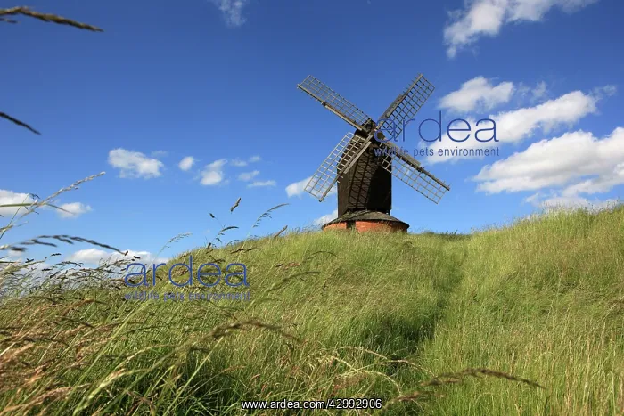 : 17th Century Windmill : 17th Century Windmill