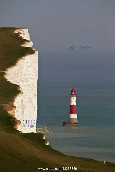 : In 1831 construction began on Belle Tout lighthouse : In 1831 construction began on Belle Tout lighthouse