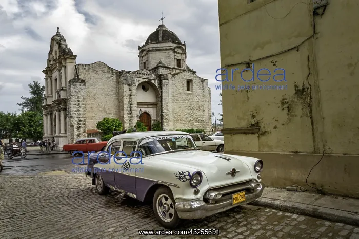 : 1950's era antique car and street scene : 1950's era antique car and street scene