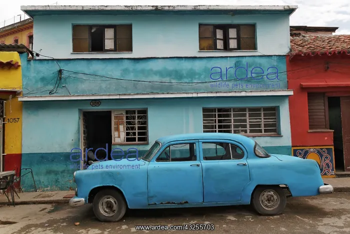 : 1950's era antique car and street scene : 1950's era antique car and street scene