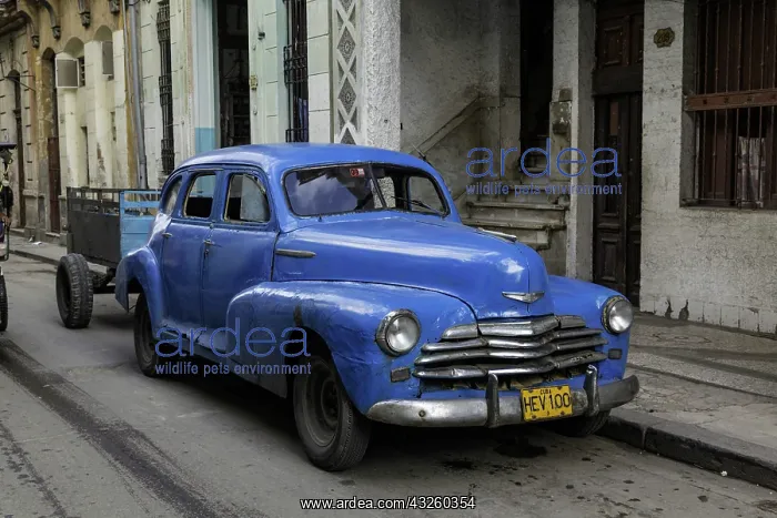 : 1950's era car parked on street in Havana : 1950's era car parked on street in Havana