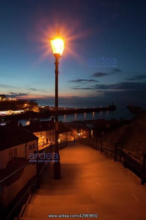 : 199 steps leading down to Whitby Harbour : 199 steps leading down to Whitby Harbour