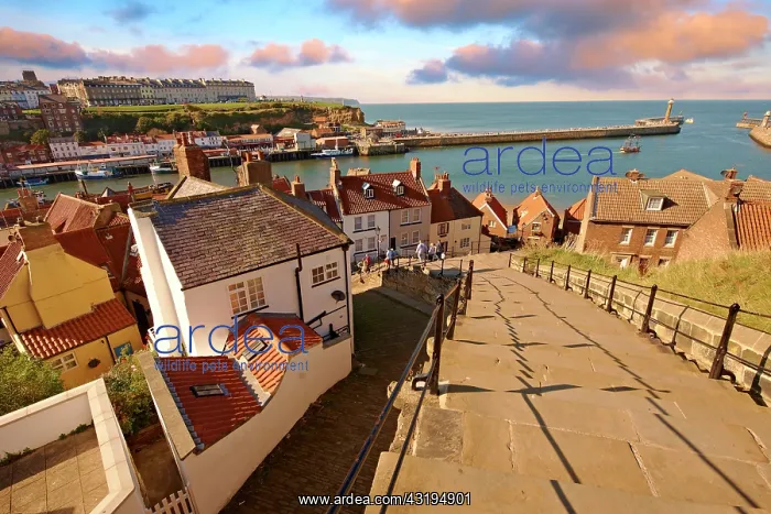 : 199 steps overlooking Whitby harbour, North Yorkshire : 199 steps overlooking Whitby harbour, North Yorkshire