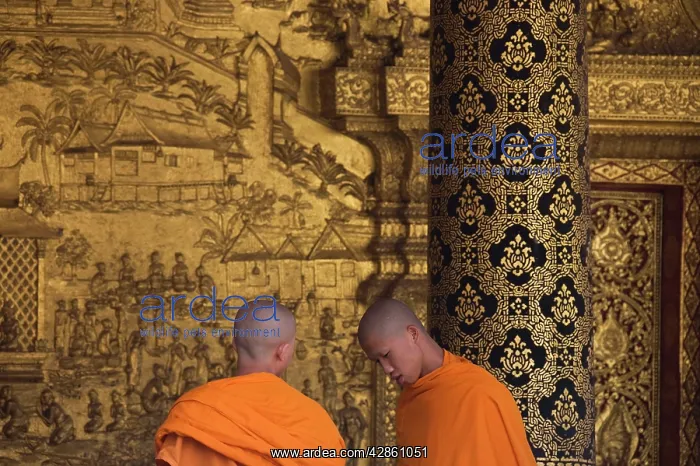 : 2 Buddhist novices in the Buddhist monastery of Vat Mai : 2 Buddhist novices in the Buddhist monastery of Vat Mai