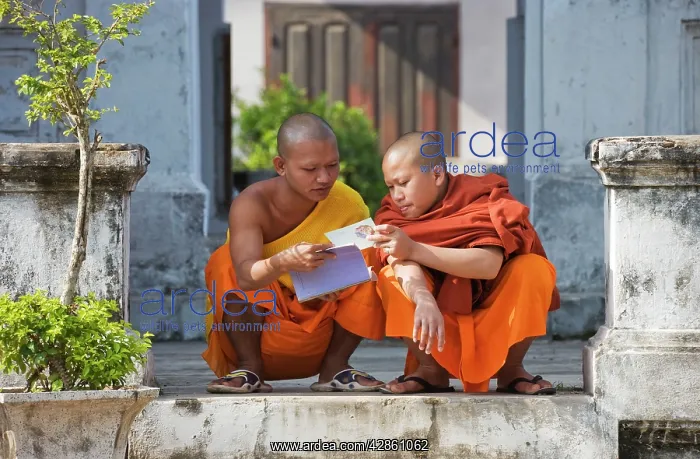 : 2 Buddhist novices at leisure in the Buddhist monastery : 2 Buddhist novices at leisure in the Buddhist monastery