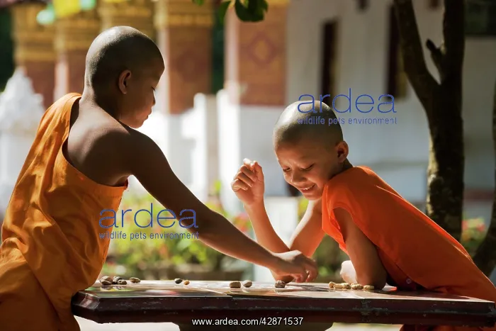 : 2 young Buddhist novices playing a board game in : 2 young Buddhist novices playing a board game in
