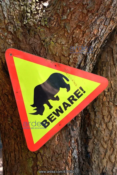 : 200km north of Kampala, the Ziwa Rhino Sanctuary : 200km north of Kampala, the Ziwa Rhino Sanctuary