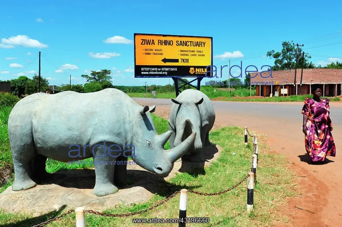 : 200km north of Kampala, the Ziwa Rhino Sanctuary : 200km north of Kampala, the Ziwa Rhino Sanctuary