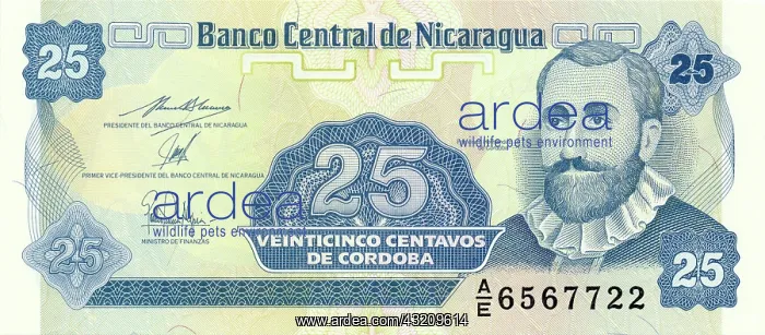 : 25 Centavos banknote with portrait of Francisco : 25 Centavos banknote with portrait of Francisco
