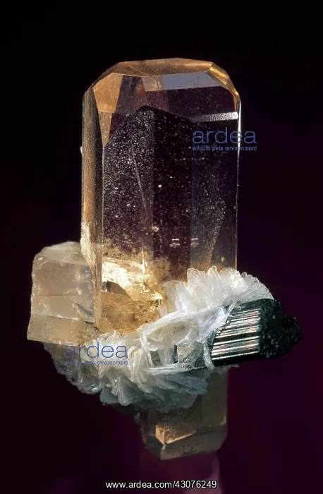 : Topaz crystal with schorl (black tourmaline) and albite from Pakistan : Topaz crystal with schorl (black tourmaline) and albite from Pakistan