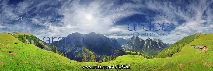 : 360 panorama from the Hasentalalm with view into : 360 panorama from the Hasentalalm with view into