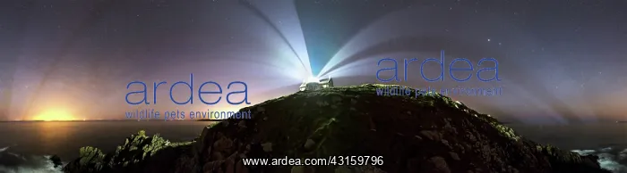 : 360oe A home-built lighthouse at Pointe du Muller : 360oe A home-built lighthouse at Pointe du Muller