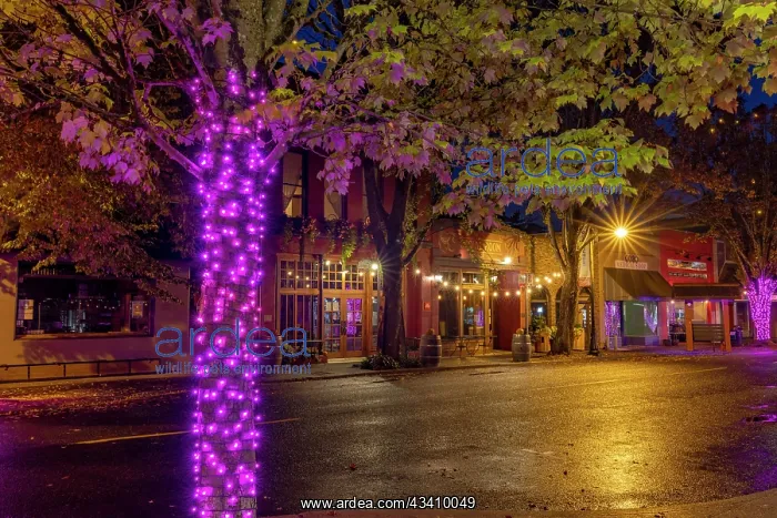 : 3rd Street in downtown McMinnville, Oregon, USA : 3rd Street in downtown McMinnville, Oregon, USA