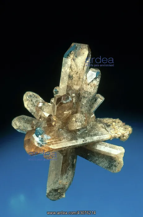 : Topaz crystals from the Thomas Range in the Topaz Mountains of Utah : Topaz crystals from the Thomas Range in the Topaz Mountains of Utah
