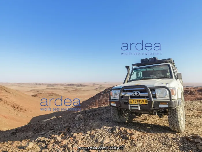 : 4x4 vehicle on a small hill in desert landscape : 4x4 vehicle on a small hill in desert landscape