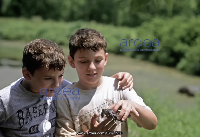 : 8 year-old Boys with Turtle : 8 year-old Boys with Turtle