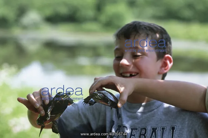 : 8 year-old Boys with Turtles : 8 year-old Boys with Turtles