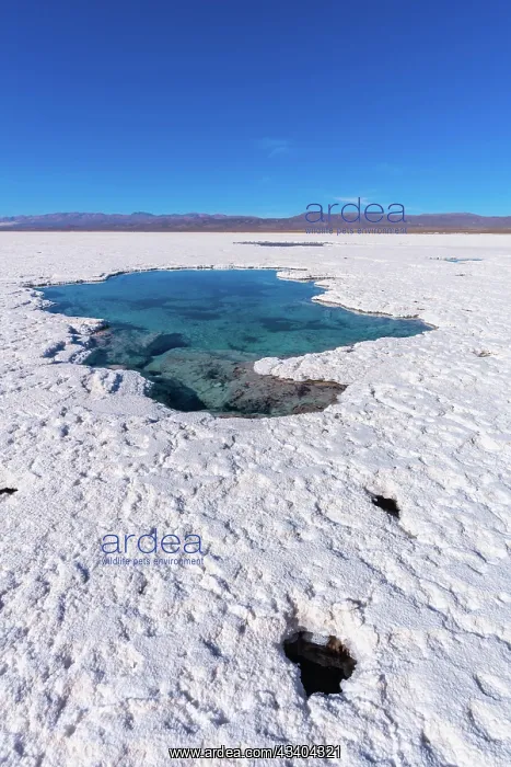 : 800 sq km salt desert Salinas Grandes, Ojos de Salar : 800 sq km salt desert Salinas Grandes, Ojos de Salar