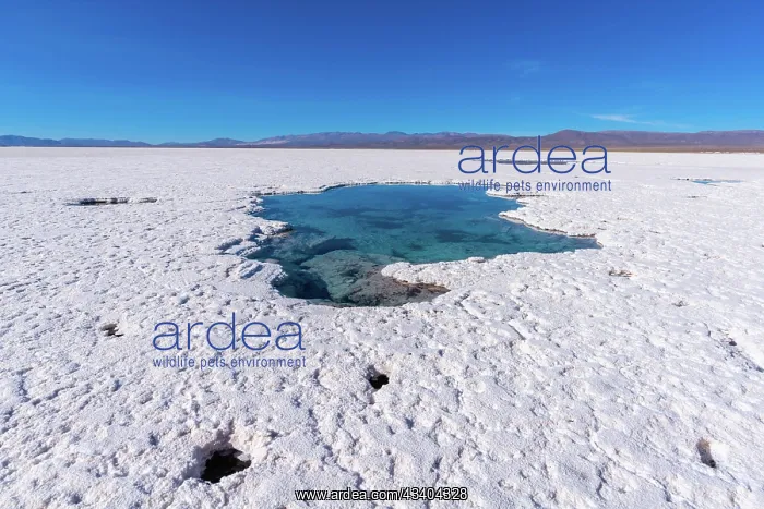 : 800 sq km salt desert Salinas Grandes, Ojos de Salar : 800 sq km salt desert Salinas Grandes, Ojos de Salar