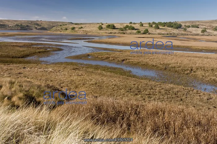 : 80179079 Saltmarshes - and other habitats Drakes : 80179079 Saltmarshes - and other habitats Drakes