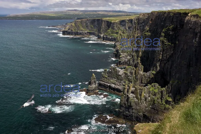 : 80179162 Seascape - spectacular view of the stacks : 80179162 Seascape - spectacular view of the stacks