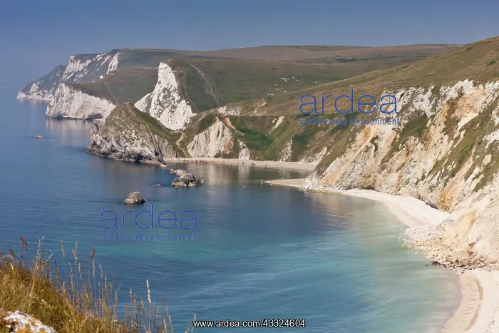  : 80179252 Dorset Coast - St.Oswald's Bay  /  Man o
