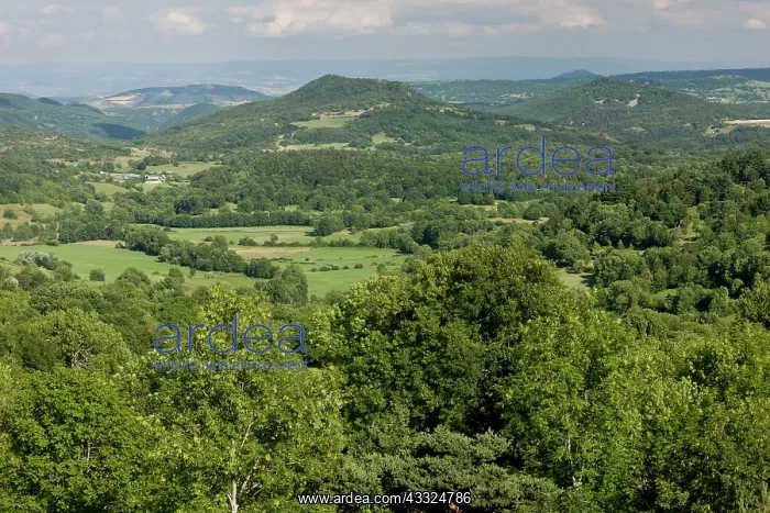 : 80179286 The Auvergne - looking east over rolling : 80179286 The Auvergne - looking east over rolling