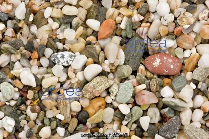 : 80179325 Multi-coloured Gravel / Pebble Beach Prawle : 80179325 Multi-coloured Gravel / Pebble Beach Prawle