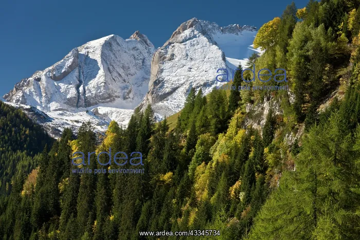 : 80179330 The Dolomites - in autumn looking west : 80179330 The Dolomites - in autumn looking west