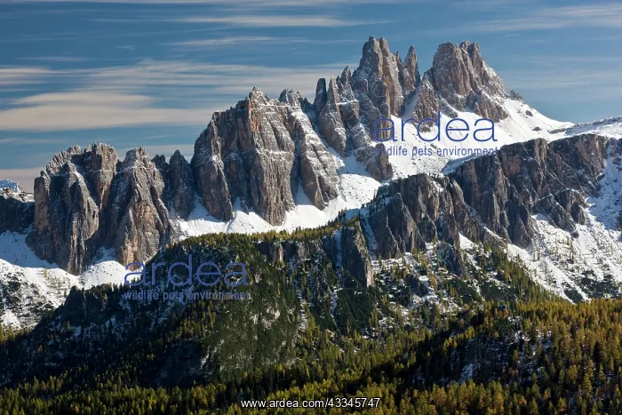 : 80179332 Dolomite Ridge - of the Croda da Lago from : 80179332 Dolomite Ridge - of the Croda da Lago from